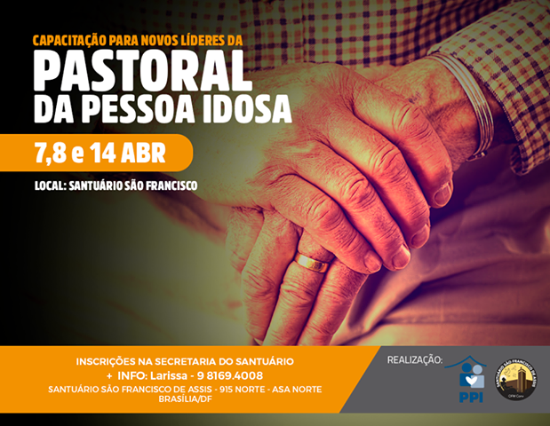 capacitação ppi brasilia